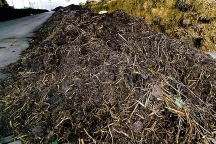 ny5252021有机肥料的标准,有机肥料的特点