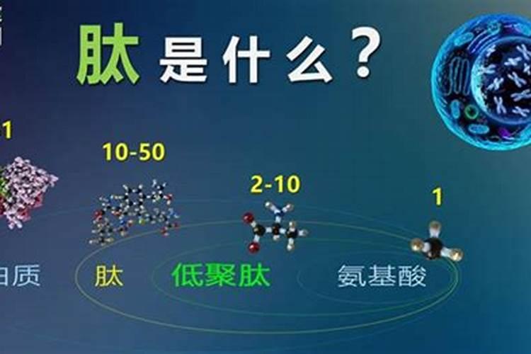 肽能是个啥东东啊