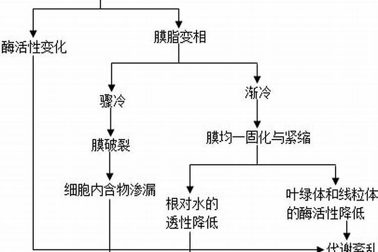 小麦追施尿素,能趁着下雪一起撒施吗？肥效好不好？