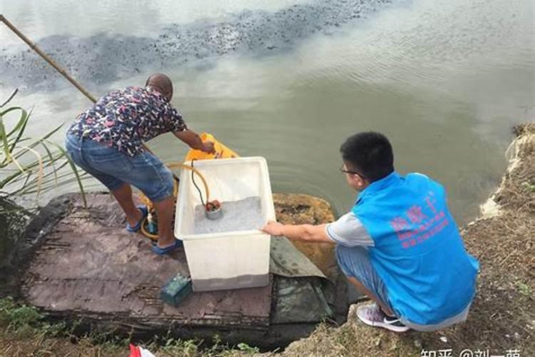 硅肥可以增强作物抵抗病虫害的能力吗？ 有什么好的推荐？