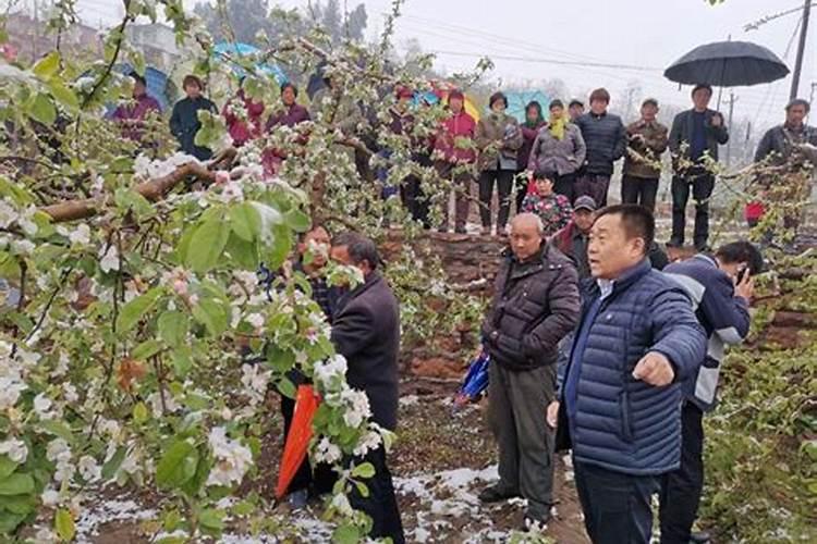 冬季施肥应该注意什么？