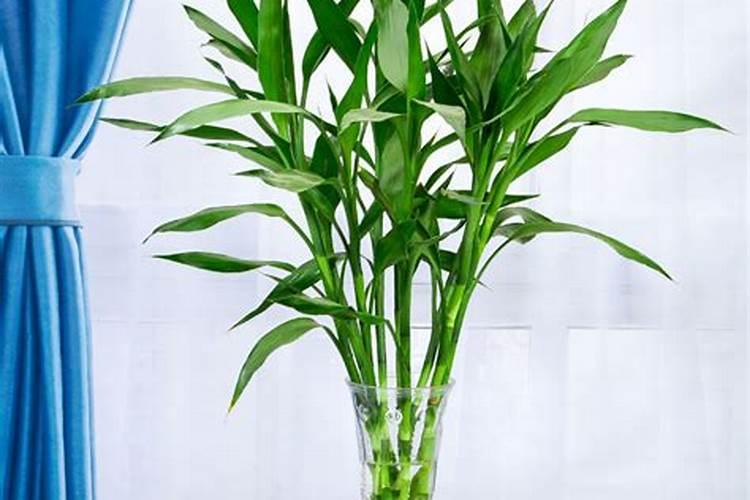 中国居民膳食营养素参考摄入量:第 3部分:微量元素