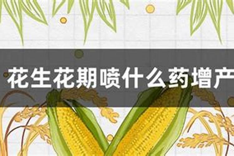 花生不同生长阶段的叶面肥使用技巧 花生应该怎么施肥