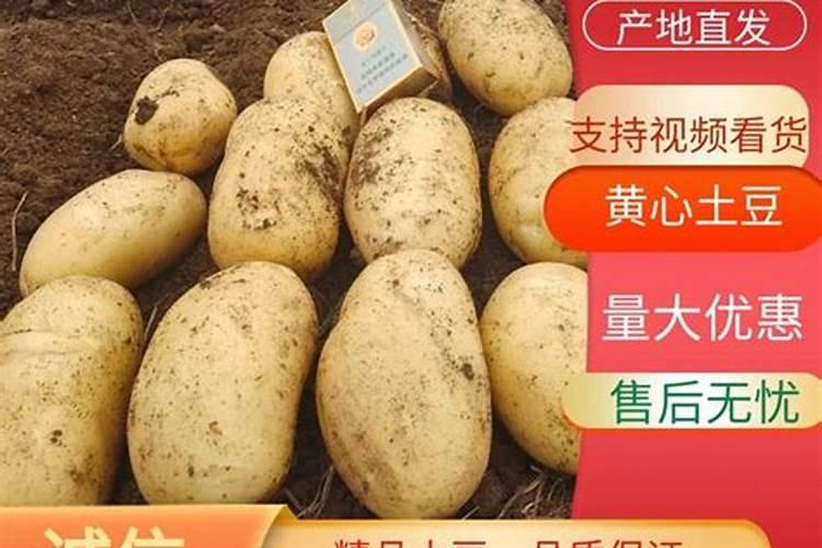 土豆专用肥,氮,磷,钾的含量比例？