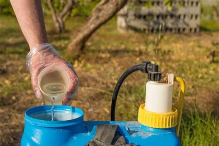 浇花选择上午合适,还是下午合适,亦或是中午合适呢