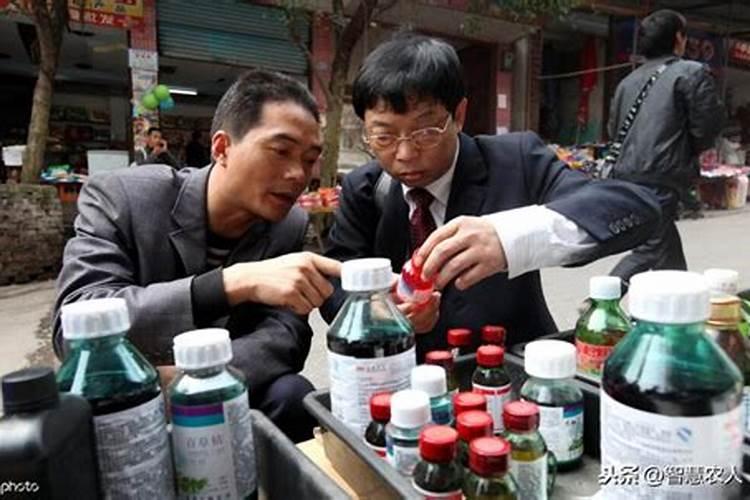 怎么种蓝莓树？