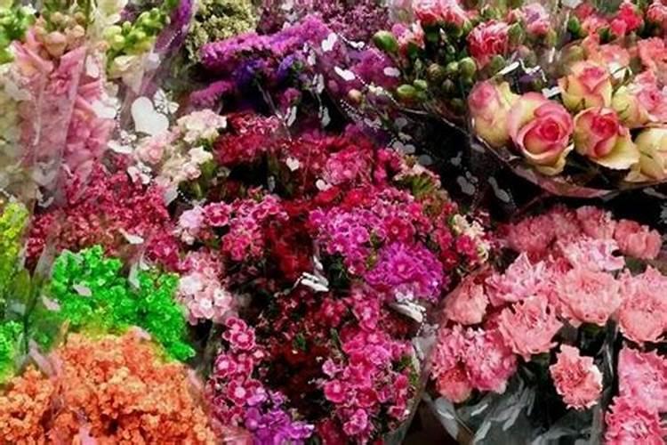 水培植物用什么肥料