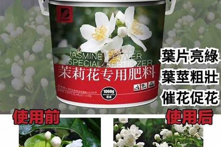 茶叶水可以浇茉莉花吗