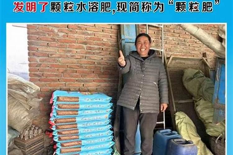 碗豆水溶肥滴罐之后叶子发黄是怎么回事