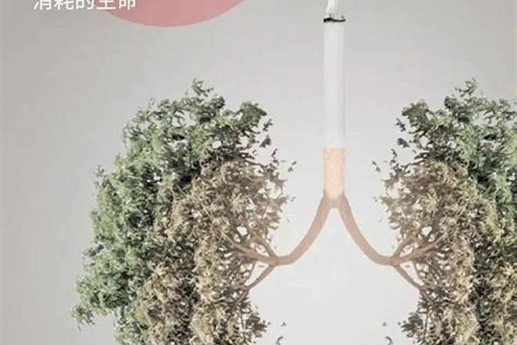 烤烟最忌三种肥料