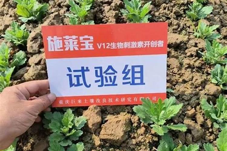 小拱棚外面11度棚内温度多少