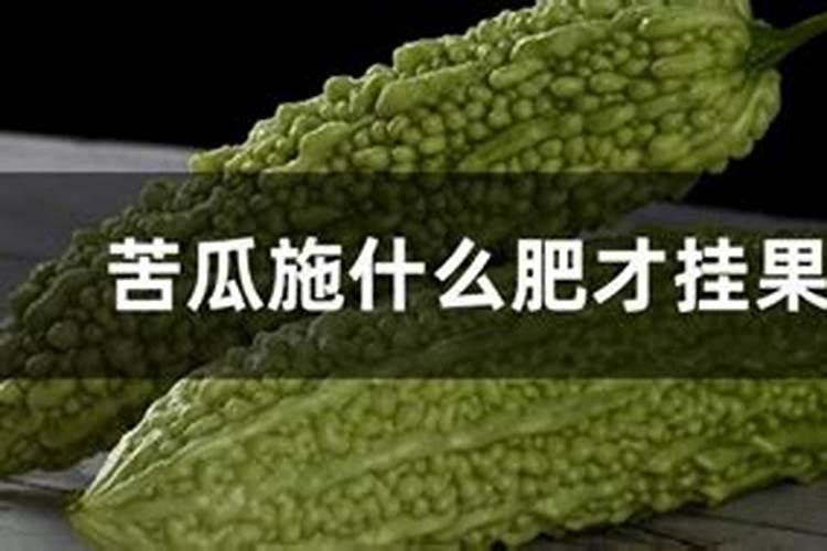 苦瓜用什么肥料最好