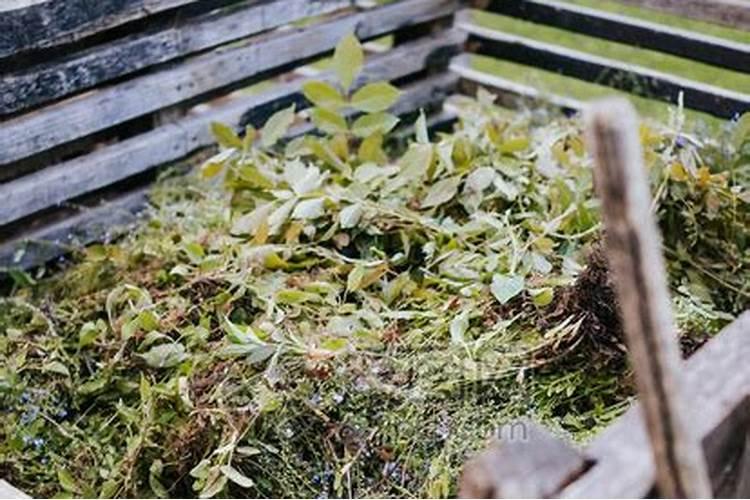 高温大棚种植的蔬菜菜叶和藤蔓能做肥料吗？