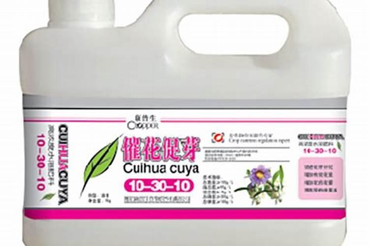 杜鹃花用什么肥料比较好