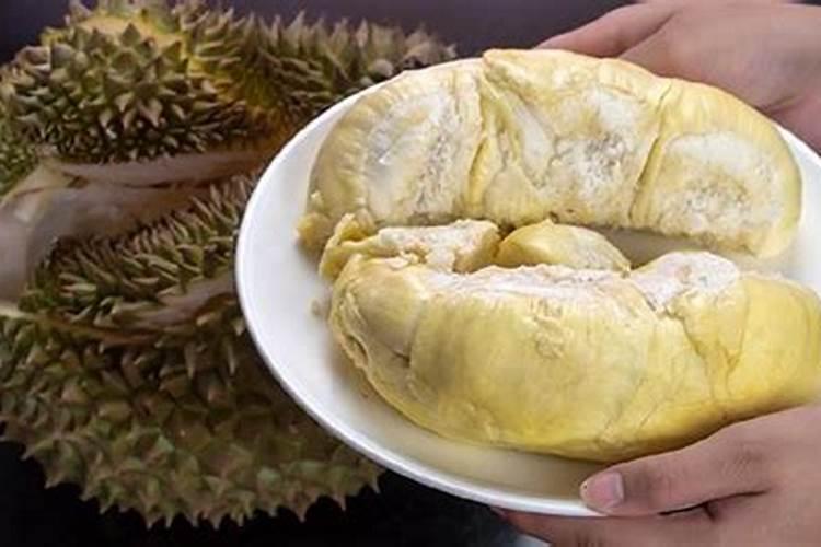 苍术用什么肥料最好