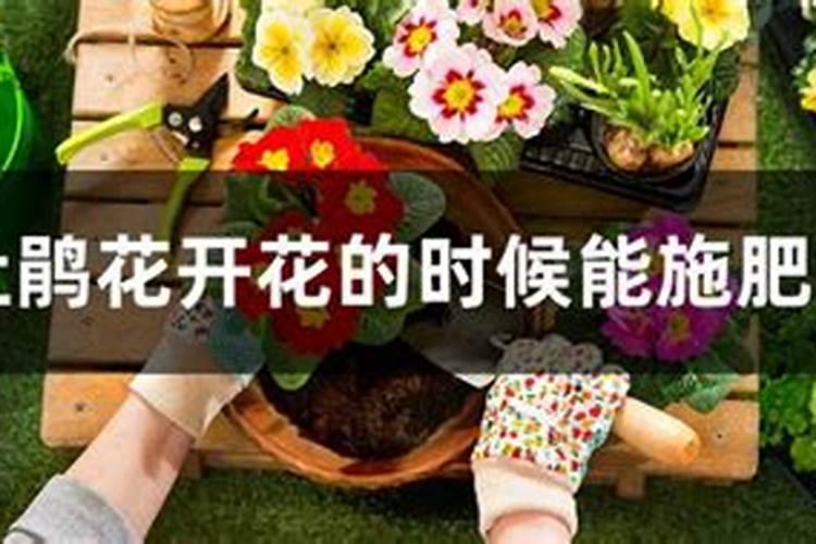 硫酸钾能叶面喷施吗