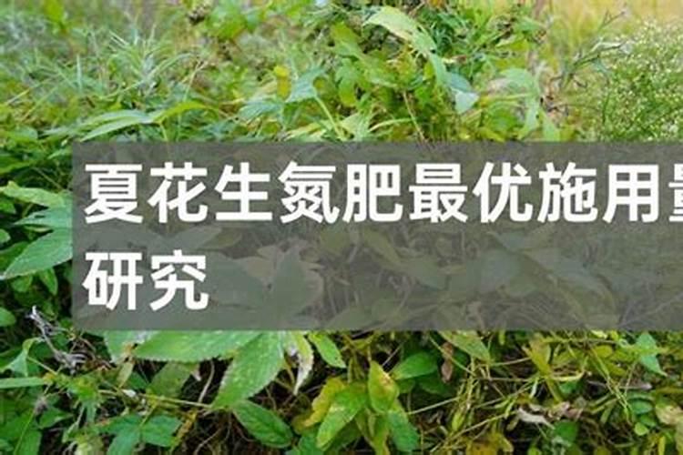 种香蕉施什么肥