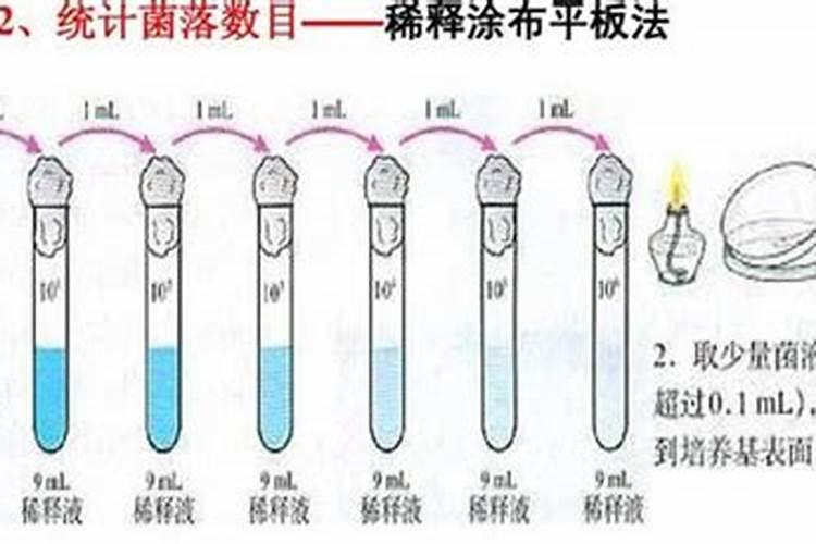 金边瑞香浇什么肥料合适