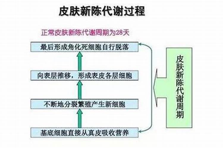 樱桃开花期间喷硼砂起什么作用？