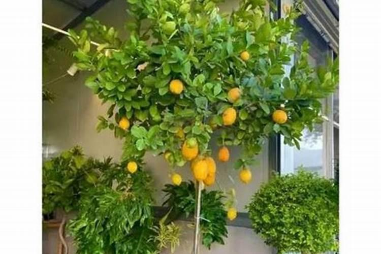 怎样简单辨别钾肥的真假与好坏？