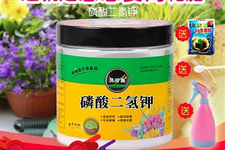 给家里的花浇水的时候,磷酸二氢钾一克需要兑多少水
