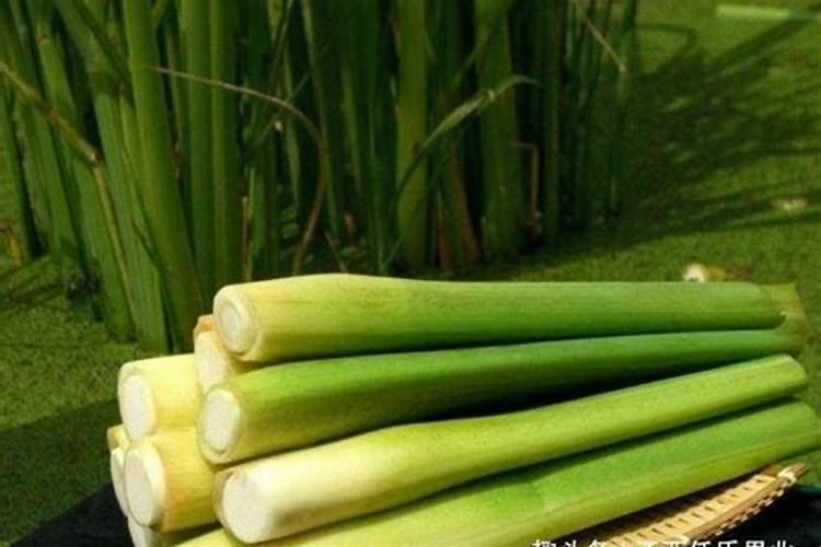 西红柿落花落果是什么原因