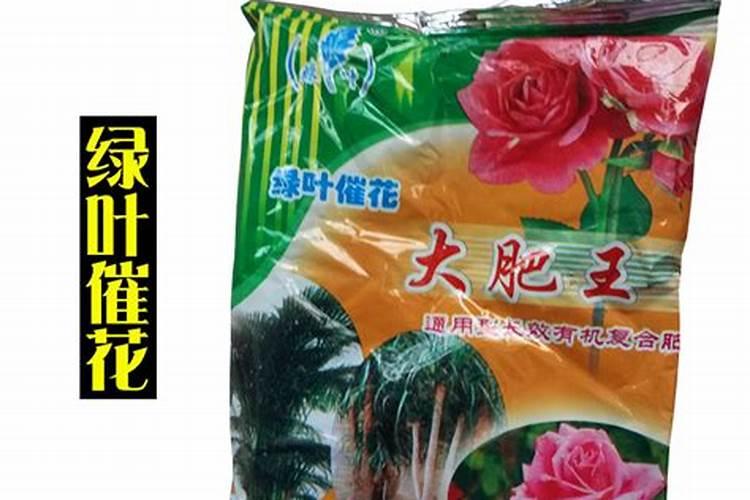 平安树施绿叶宝还是大肥王哪个好