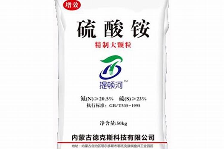 德克塞尔羊品种特点