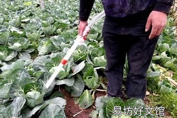 水溶肥中的钾肥是什么原料