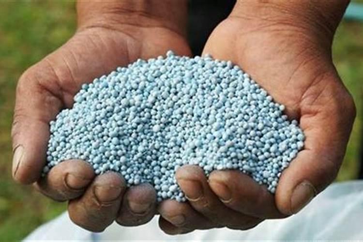 氮肥是那几个肥