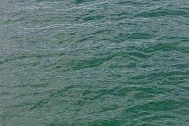 玉石饰品的培育方法