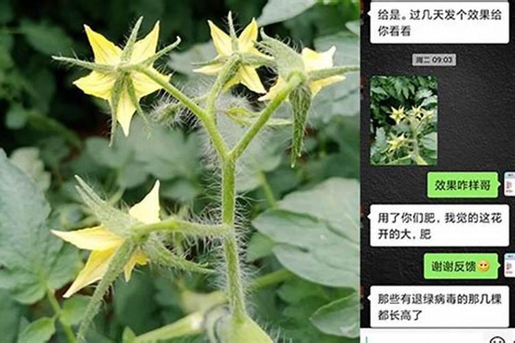 瓜子和花生,一个增肥,一个减肥,你吃对了吗？看完明白了