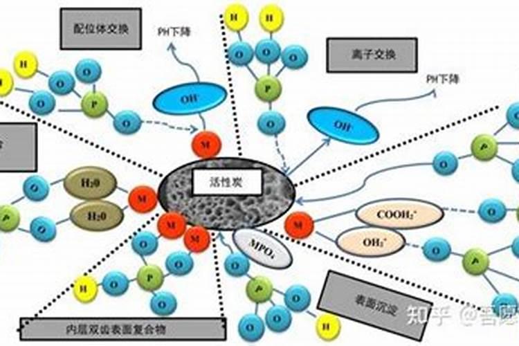 呙笋用什么作叶面肥最好效果最快 莴笋长势好空心少用什么叶面肥比较好...