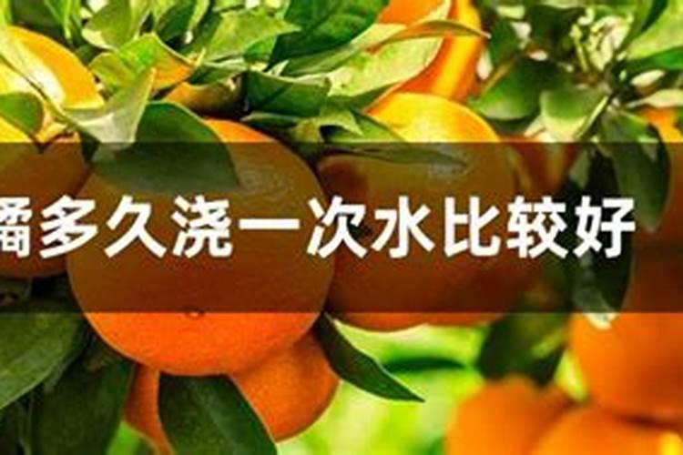 柑橘全年施肥时间表