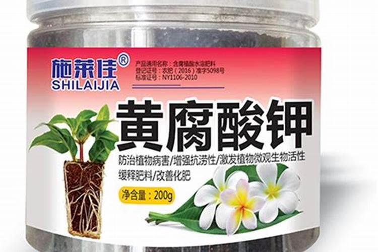 有知道黄腐酸肥料的使用注意事项有哪些？