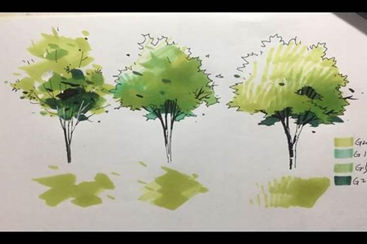 果树全年都使用水溶肥可以吗