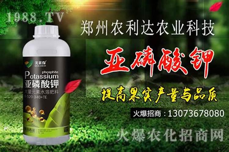 藕用什么肥料能长的大