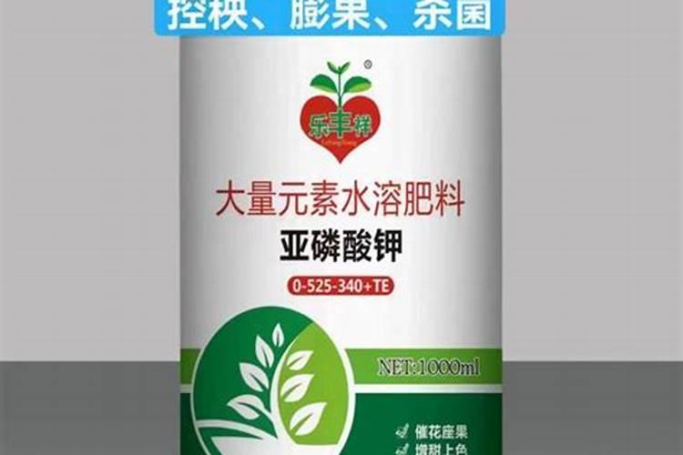 柑橘挂果期追施什么肥料好？柑橘座果期专用增产叶面肥料？