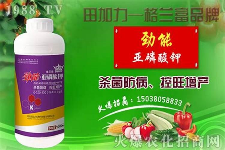 喷施叶面肥会产生肥害吗？