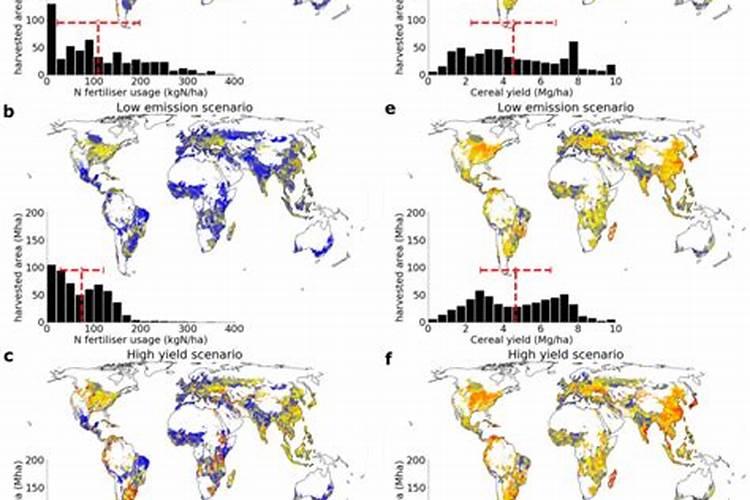 种植辣椒施什么肥好