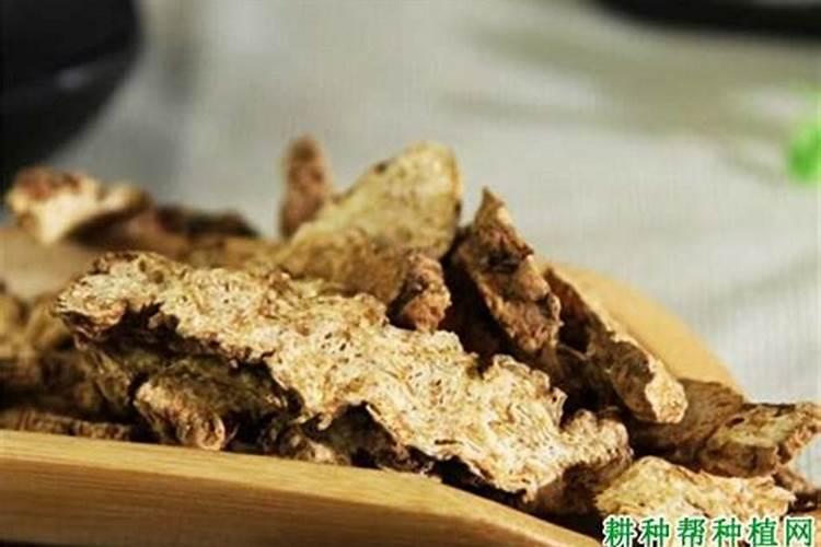 香蕉几月份最便宜,价格多少钱