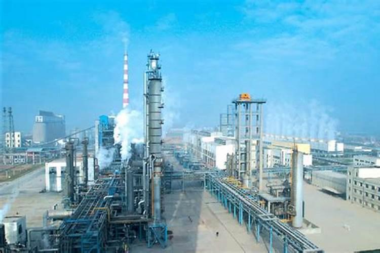 在西藏种植紫花苜蓿的栽培技术有哪些窍门？