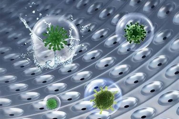 清香木的什么药效？