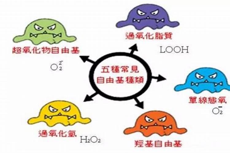 适合1一12月种的蔬菜有哪些？