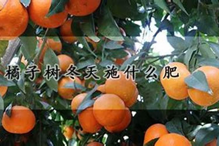 磷肥种菜的使用方法