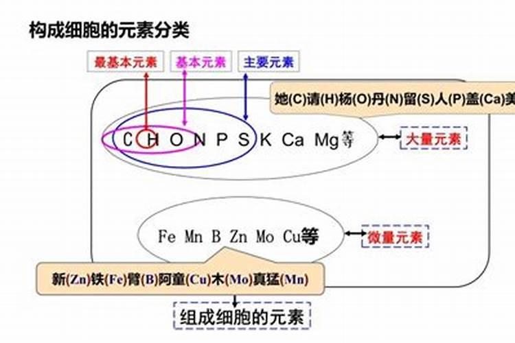 大、中、微量元素的区别