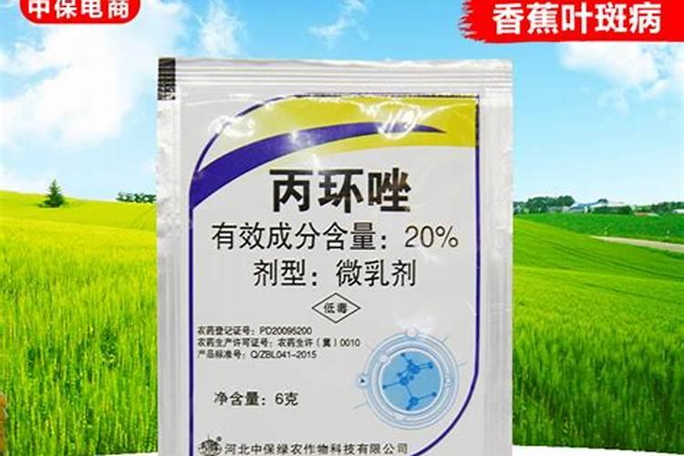 种小麦没有加底肥后期如何补救？