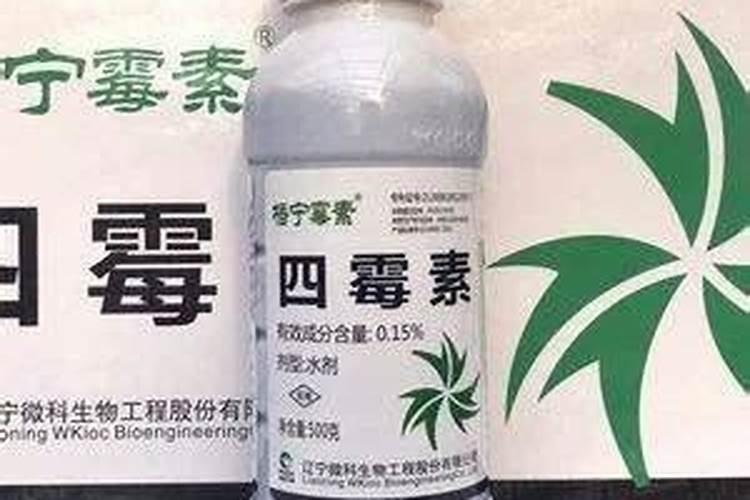 自己如何自制氮肥