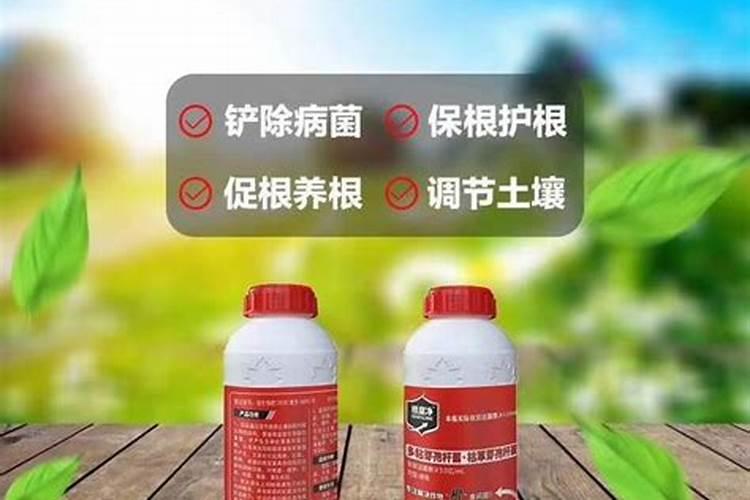 老师请问辣椒雨后用什么药防病？