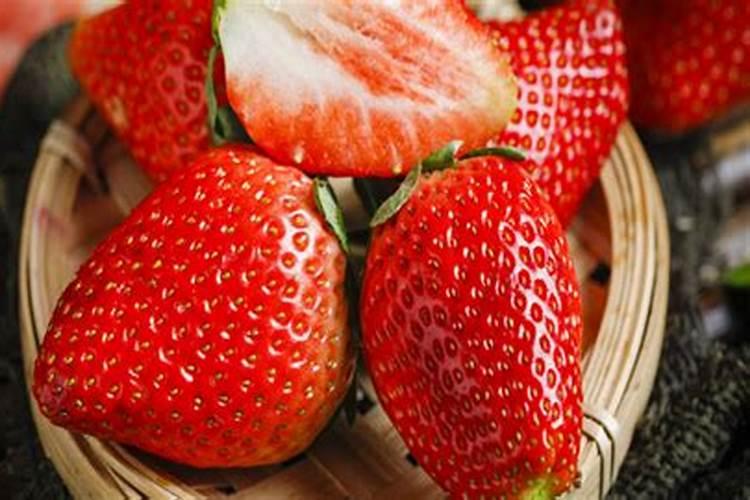 鱼蛋白草莓冲施的最佳时期